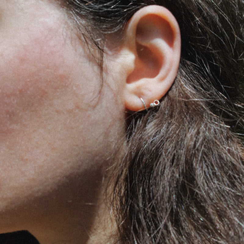 Les Baies Suspendues